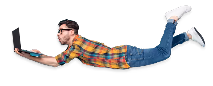 fly